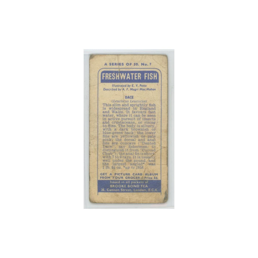 1960 Brooke Bond Freshwater Fish Dace #7