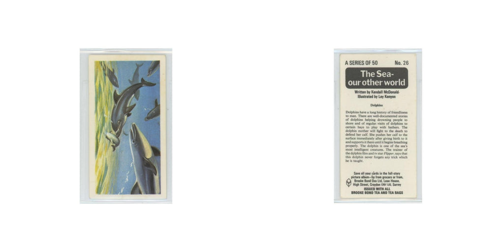 1974 Brooke Bond The Sea Our Other World Dolphins #26