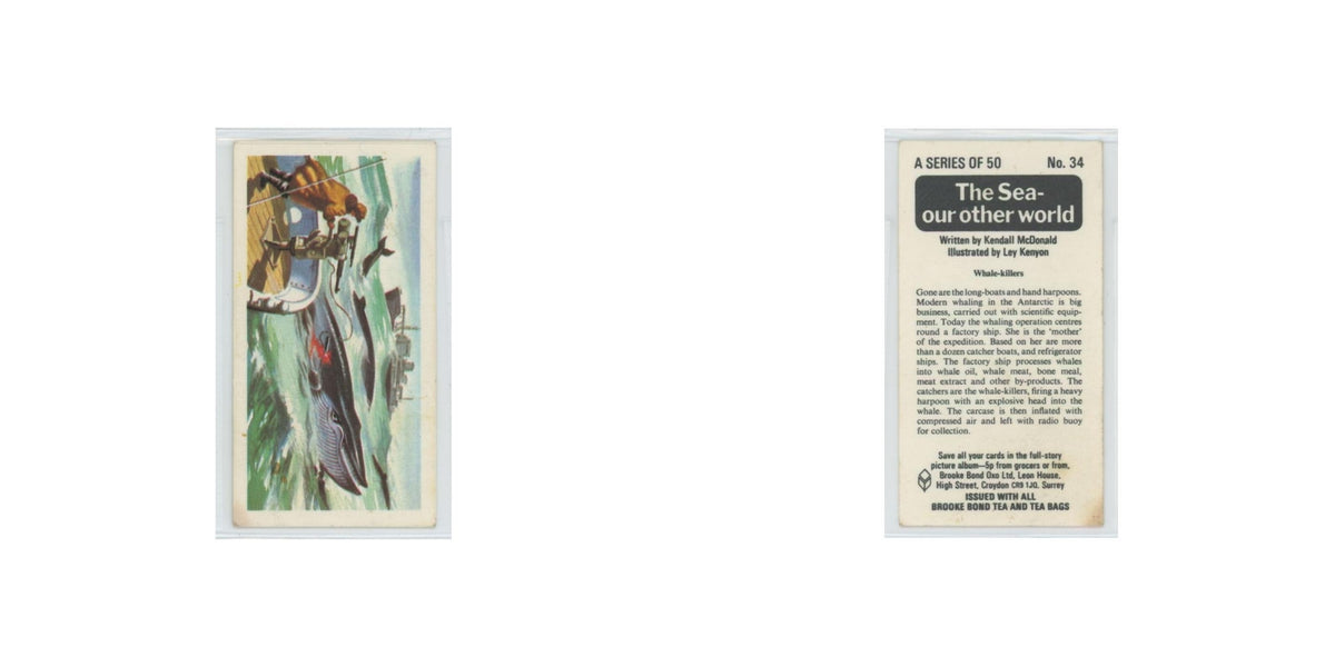 1974 Brooke Bond The Sea Our Other World Whale Killers #34