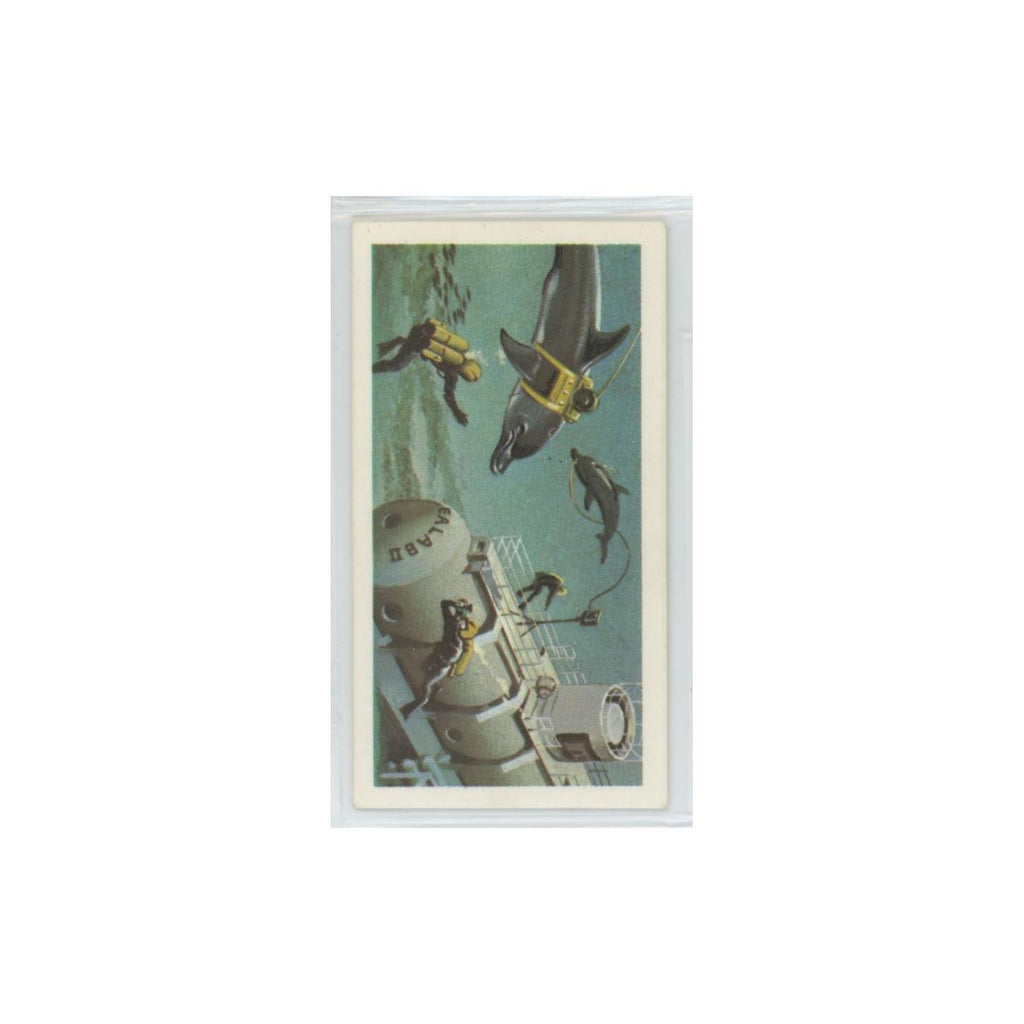 1974 Brooke Bond The Sea Our Other World Living Under Water #31