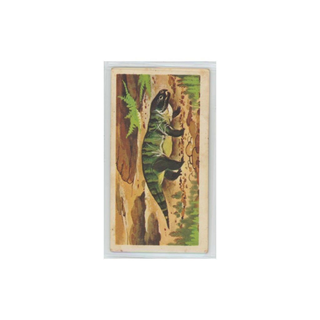 1972 Brooke Bond Prehistoric Animals Stenaulorhynchus #7