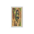 1972 Brooke Bond Prehistoric Animals Stenaulorhynchus #7