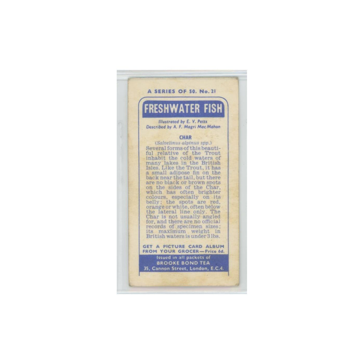 1960 Brooke Bond Freshwater Fish Char #21