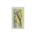 1960 Brooke Bond Freshwater Fish Houting #20