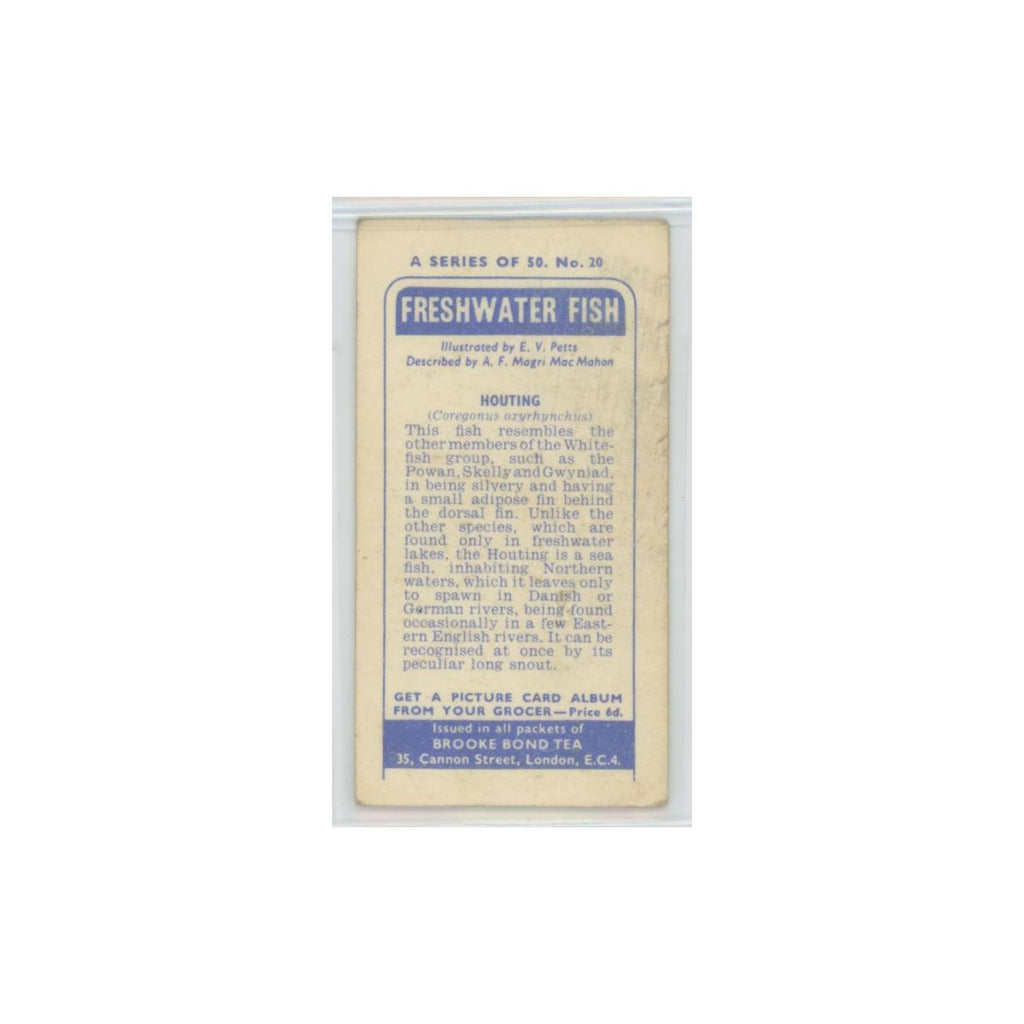 1960 Brooke Bond Freshwater Fish Houting #20