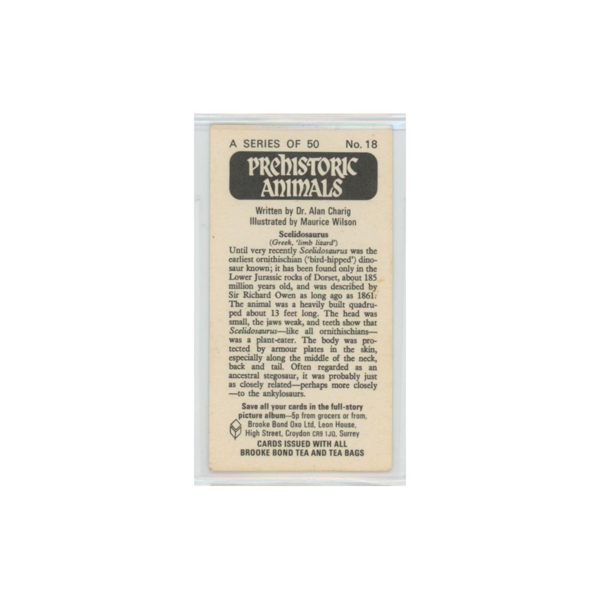 1972 Brooke Bond Prehistoric Animals Scelidosaurus #18