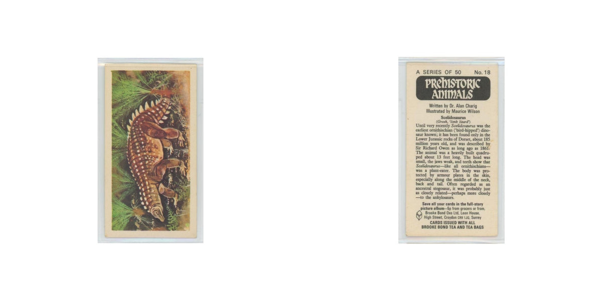1972 Brooke Bond Prehistoric Animals Scelidosaurus #18