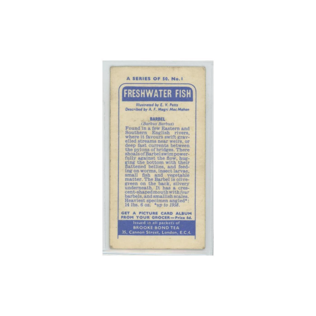 1960 Brooke Bond Freshwater Fish Barbel #1