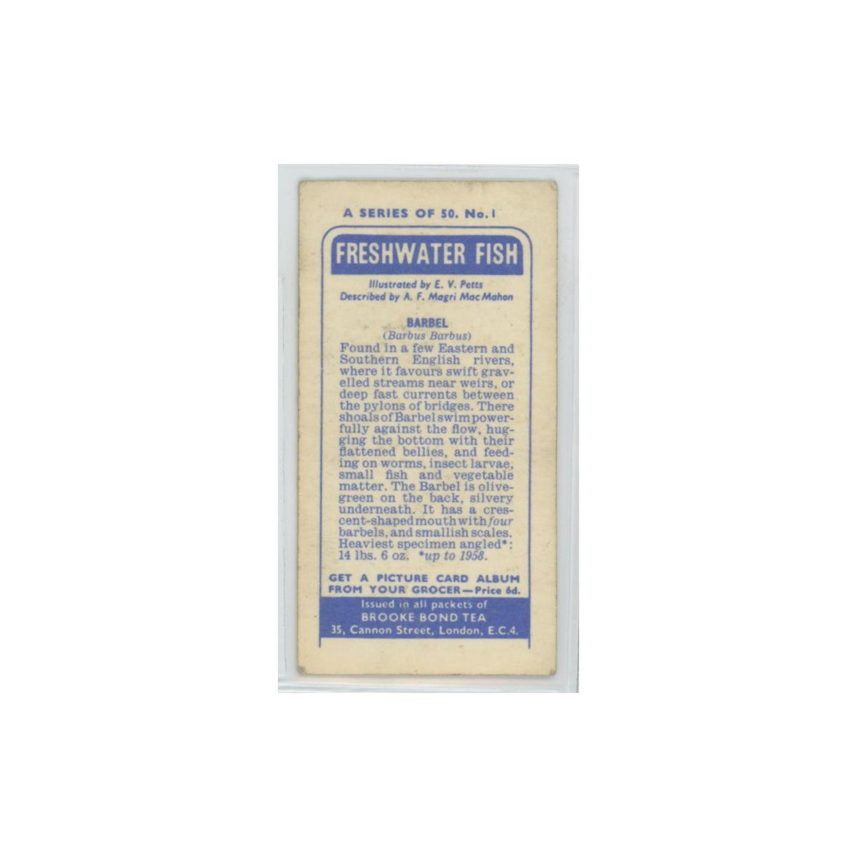 1960 Brooke Bond Freshwater Fish Barbel #1