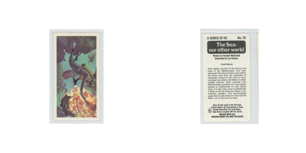 1974 Brooke Bond The Sea Our Other World Coral Hunters #35