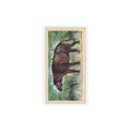 1972 Brooke Bond Prehistoric Animals Baluchitherium #43