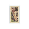 1972 Brooke Bond Prehistoric Animals Diprotodon #40