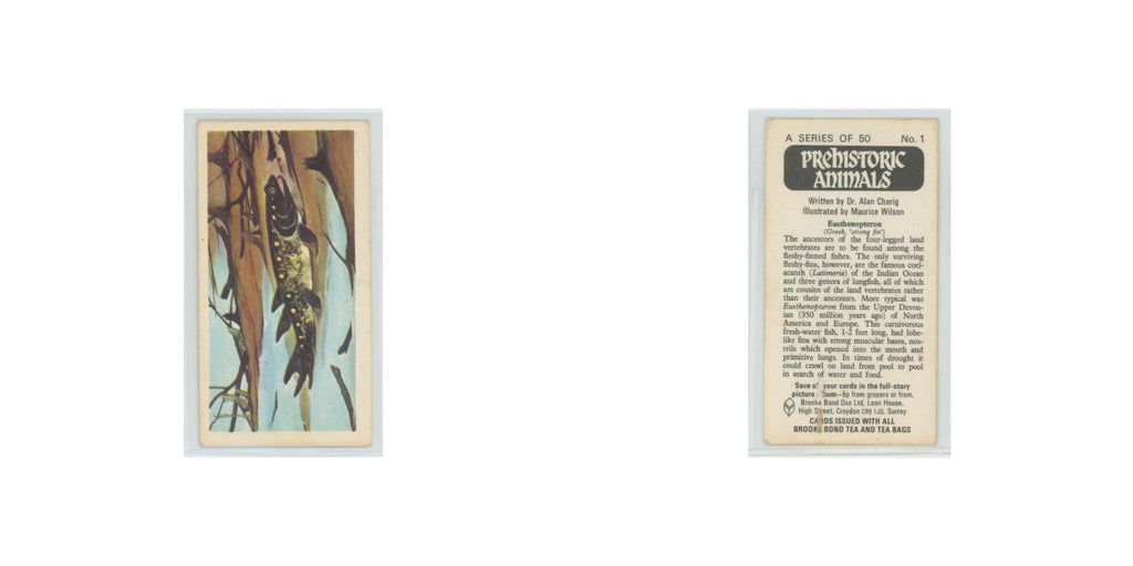 1972 Brooke Bond Prehistoric Animals Eusthenopteron #1
