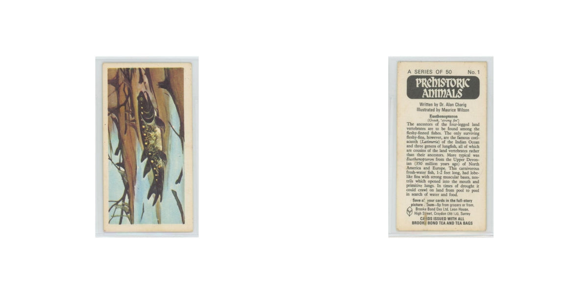 1972 Brooke Bond Prehistoric Animals Eusthenopteron #1