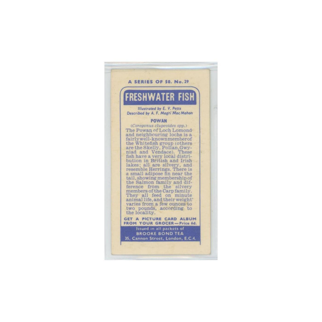 1960 Brooke Bond Freshwater Fish Powan #29