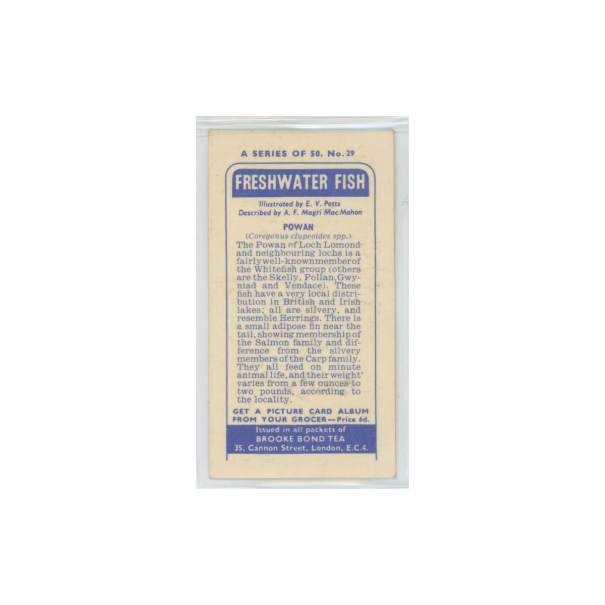 1960 Brooke Bond Freshwater Fish Powan #29