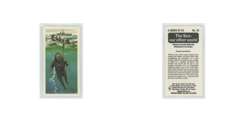 1974 Brooke Bond The Sea Our Other World Escape From 600 Feet #28