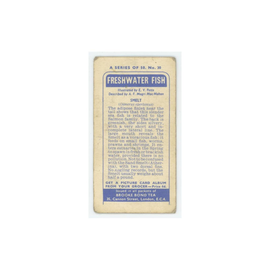 1960 Brooke Bond Freshwater Fish Smelt #30