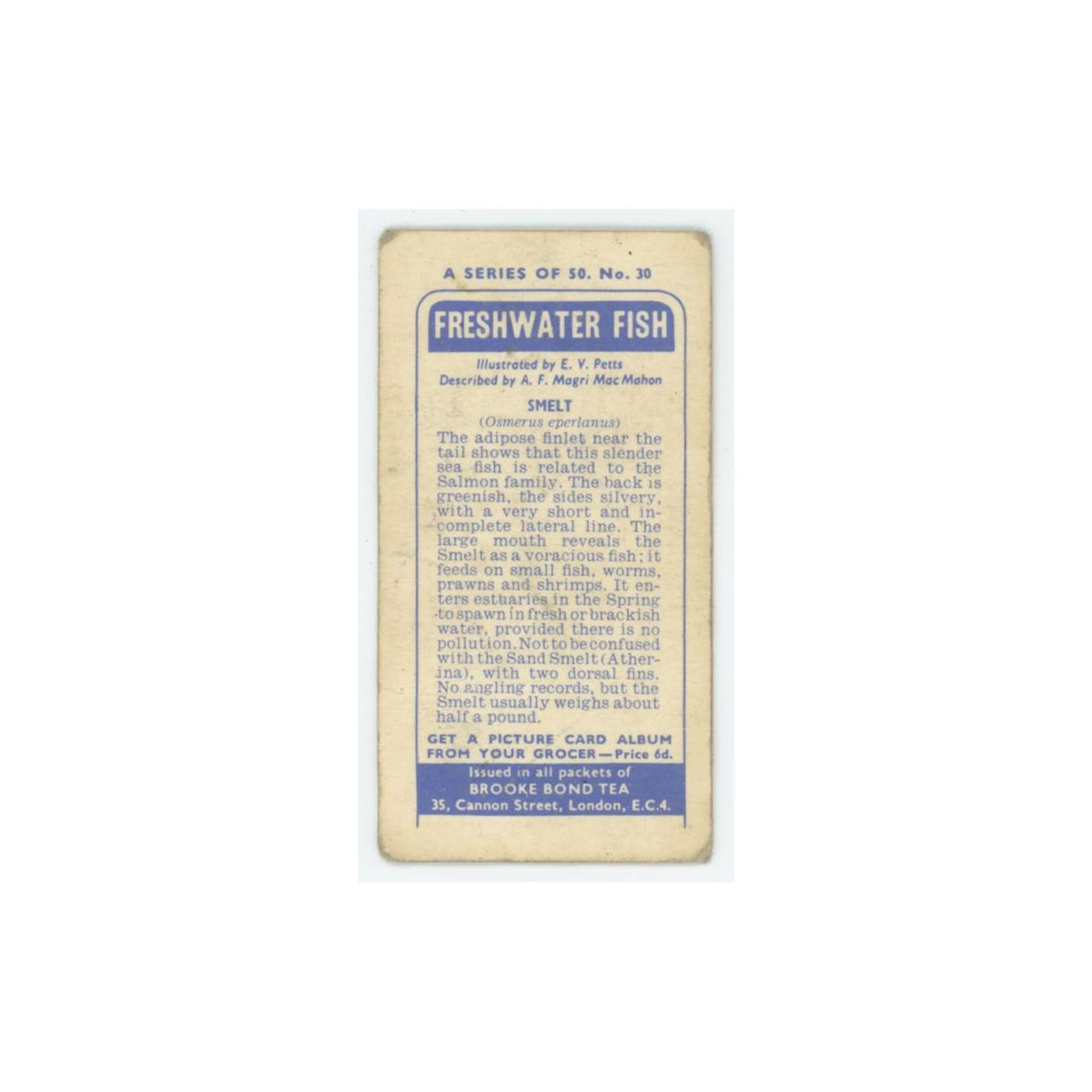 1960 Brooke Bond Freshwater Fish Smelt #30