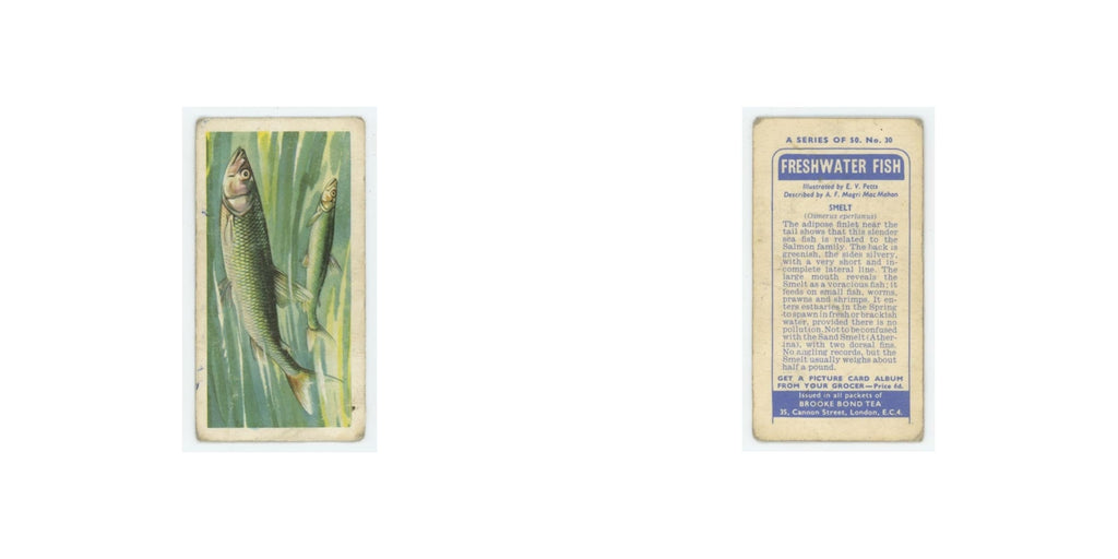 1960 Brooke Bond Freshwater Fish Smelt #30