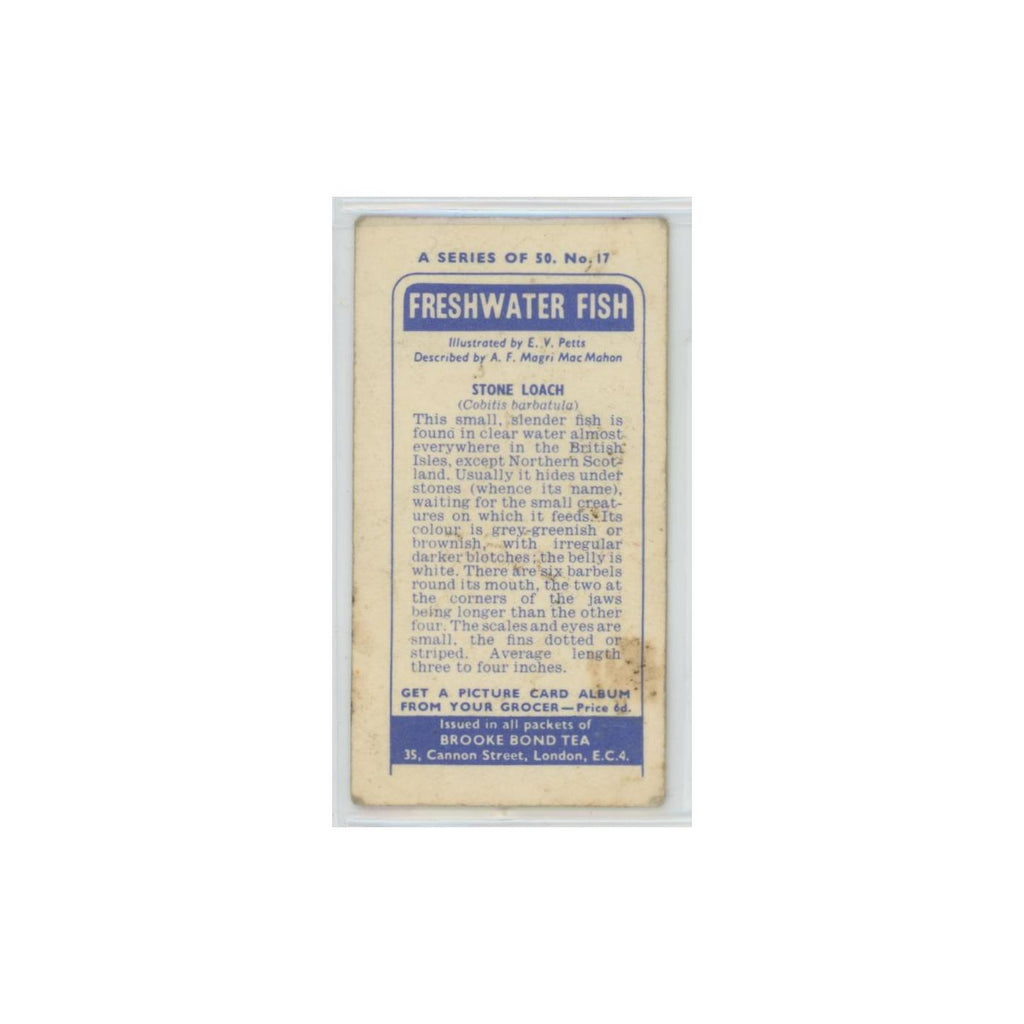 1960 Brooke Bond Freshwater Fish Stone Loach #17
