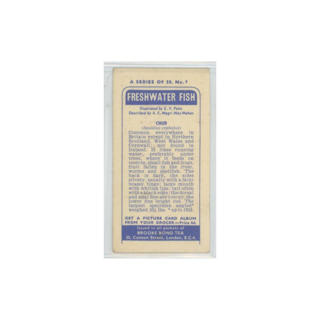 1960 Brooke Bond Freshwater Fish Chub #9