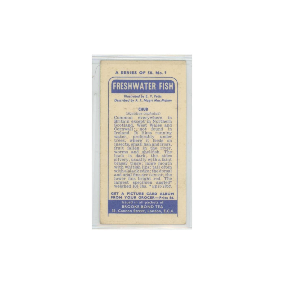 1960 Brooke Bond Freshwater Fish Chub #9
