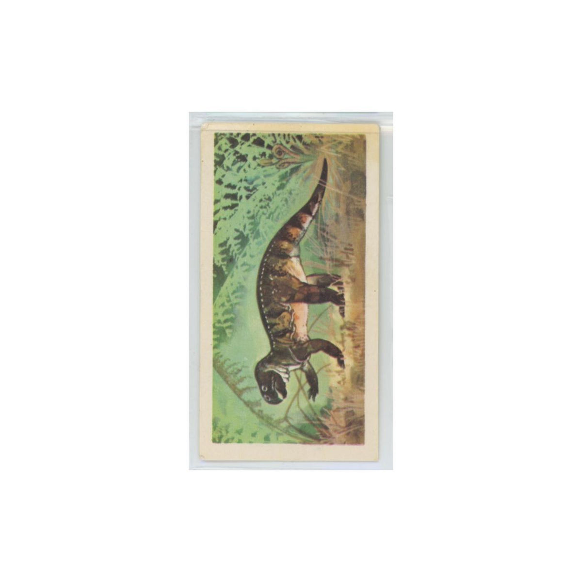 1972 Brooke Bond Prehistoric Animals Psittacosaurus #24