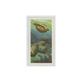 1974 Brooke Bond The Sea Our Other World Underwater Houses #30
