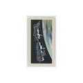 1971 Brooke Bond Race Into Space Soyuz #31