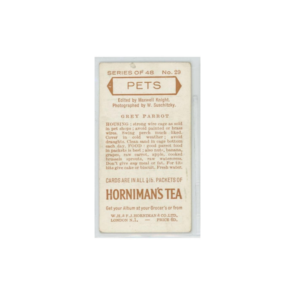 1960 Horniman's Tea Pets Grey Parrot #29