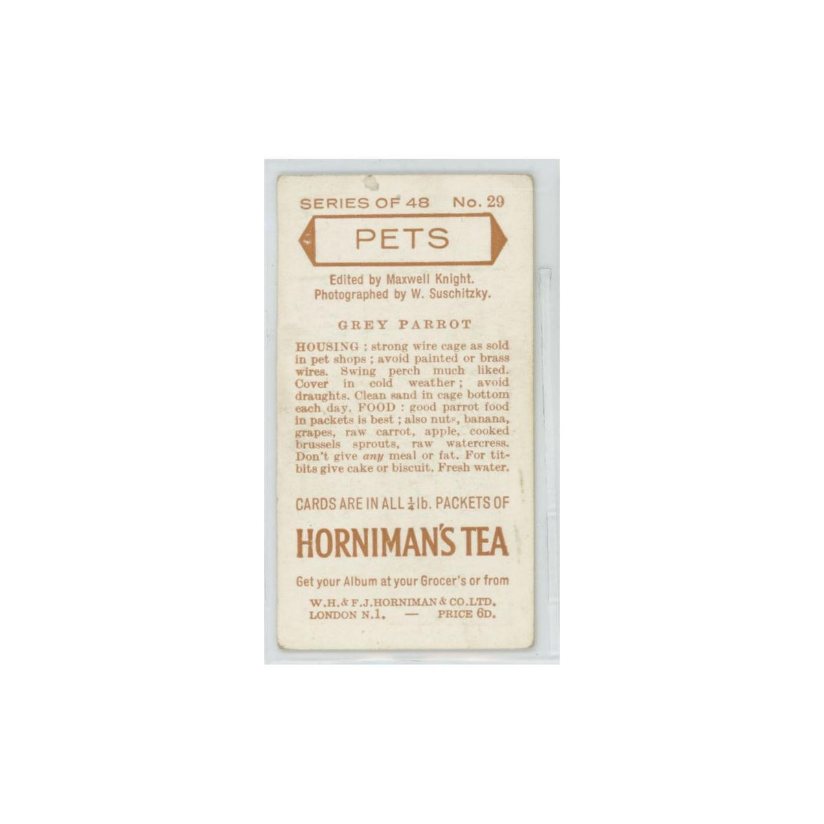 1960 Horniman's Tea Pets Grey Parrot #29