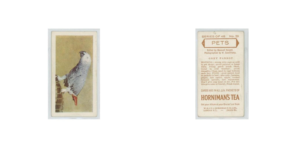 1960 Horniman's Tea Pets Grey Parrot #29