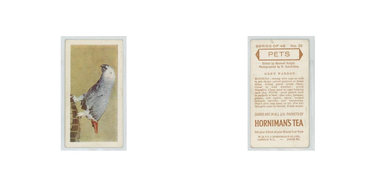1960 Horniman's Tea Pets Grey Parrot #29