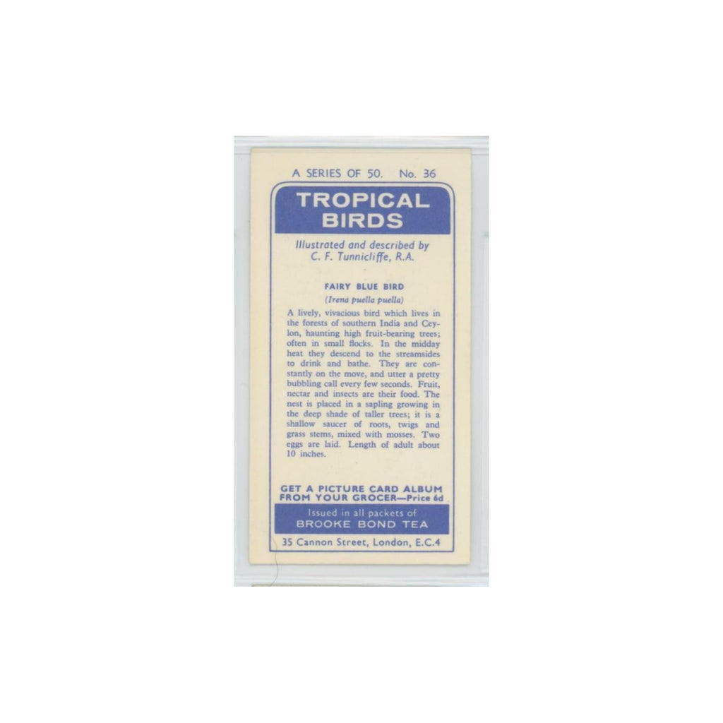 1961 Brooke Bond Tropical Birds Fairy Blue Bird #36