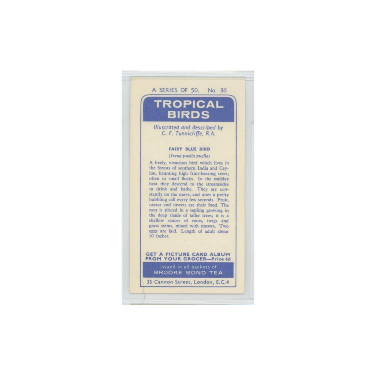 1961 Brooke Bond Tropical Birds Fairy Blue Bird #36