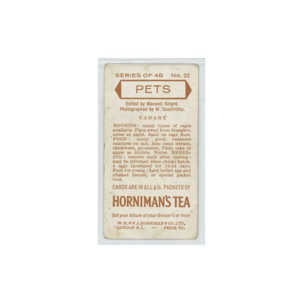 1960 Horniman's Tea Pets Canary #22