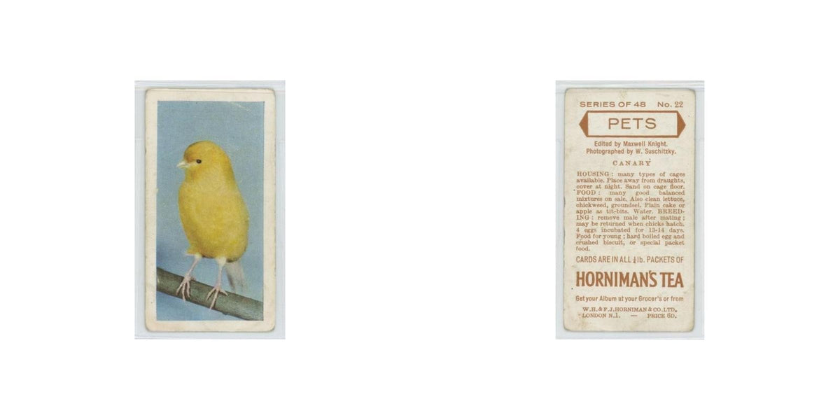 1960 Horniman's Tea Pets Canary #22