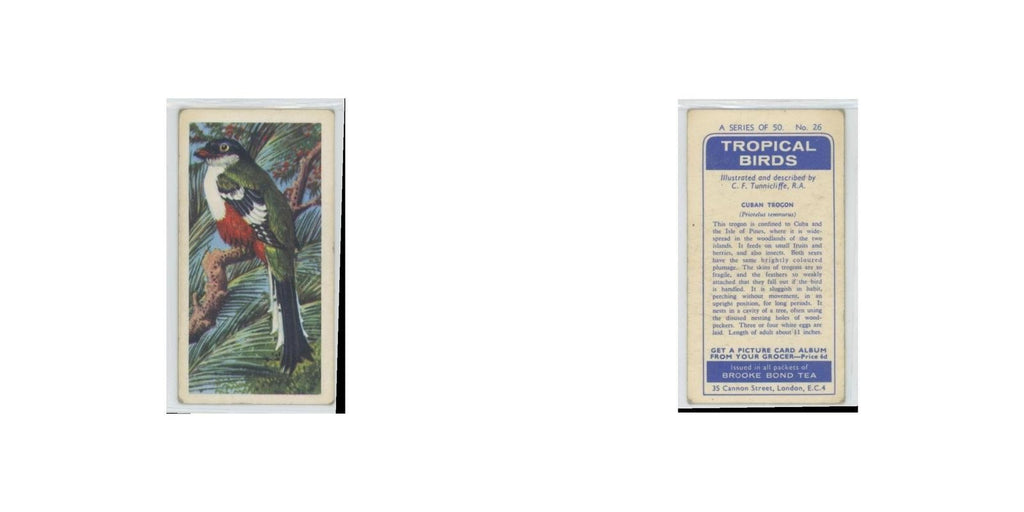 1961 Brooke Bond Tropical Birds Cuban Trogon #26