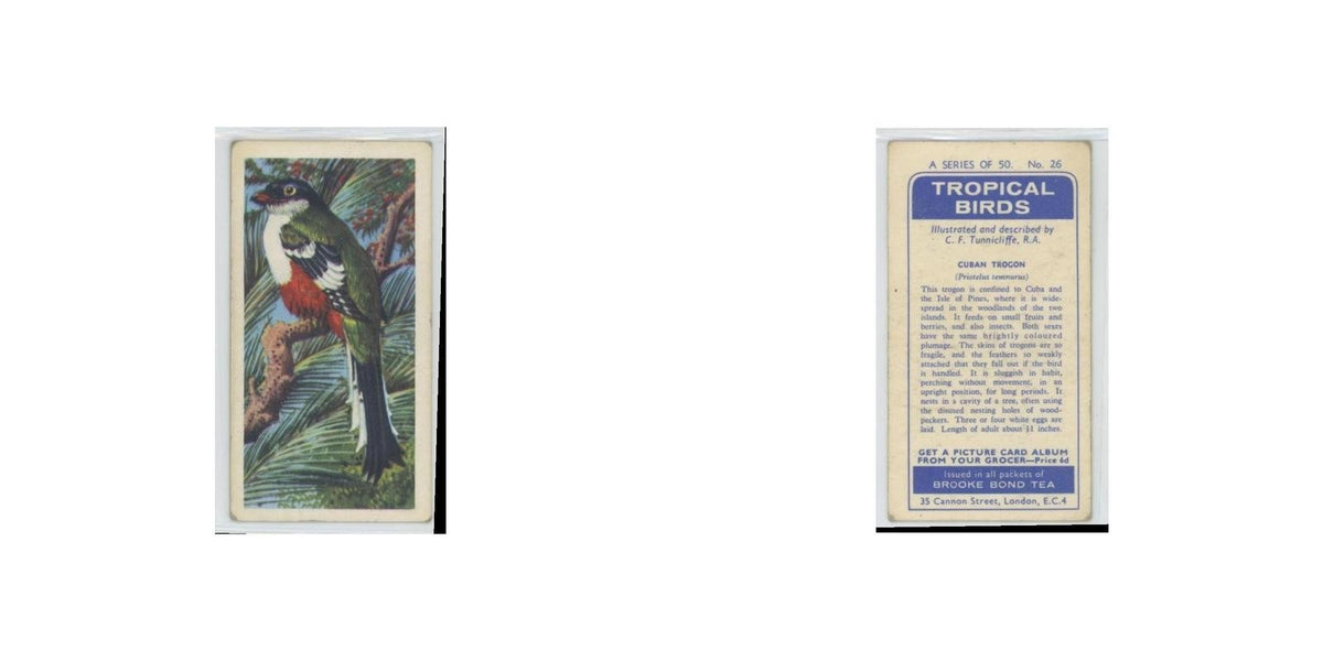 1961 Brooke Bond Tropical Birds Cuban Trogon #26