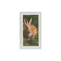 1960 Horniman's Tea Pets Rabbit #6
