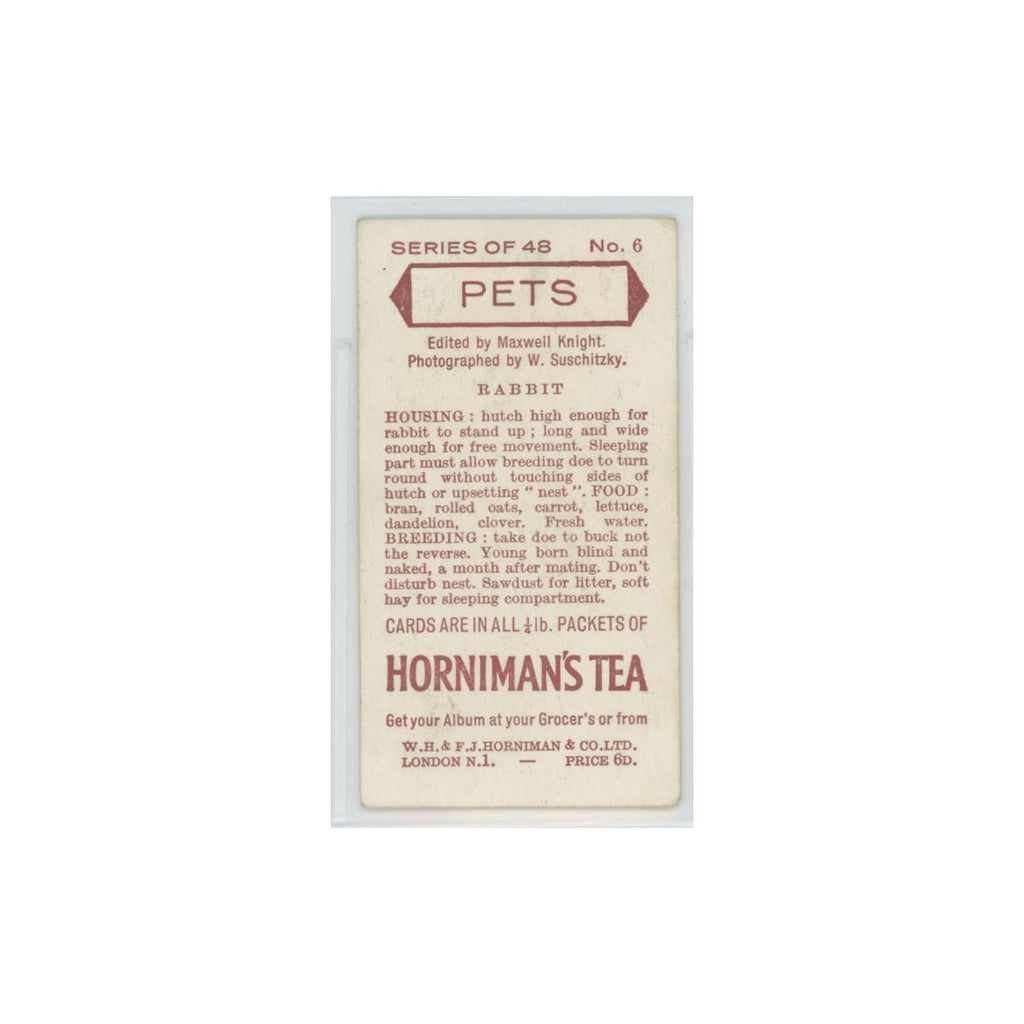 1960 Horniman's Tea Pets Rabbit #6
