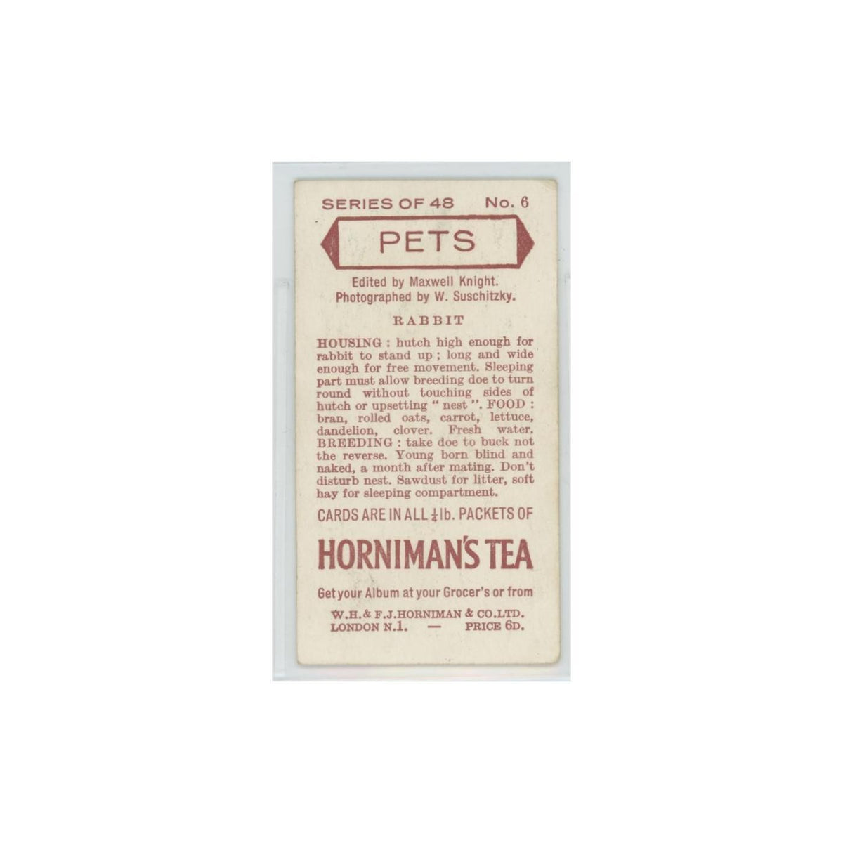 1960 Horniman's Tea Pets Rabbit #6