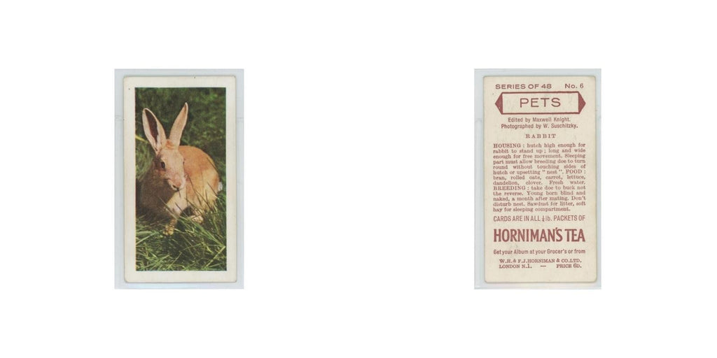 1960 Horniman's Tea Pets Rabbit #6