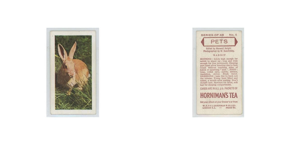1960 Horniman's Tea Pets Rabbit #6