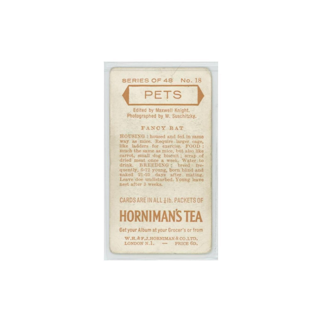 1960 Horniman's Tea Pets Fancy Rat #18