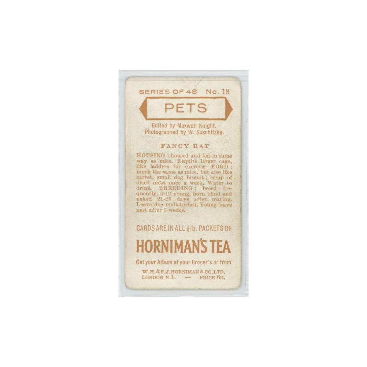1960 Horniman's Tea Pets Fancy Rat #18