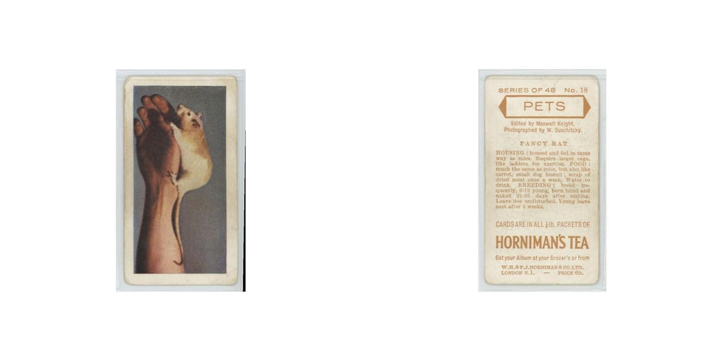 1960 Horniman's Tea Pets Fancy Rat #18