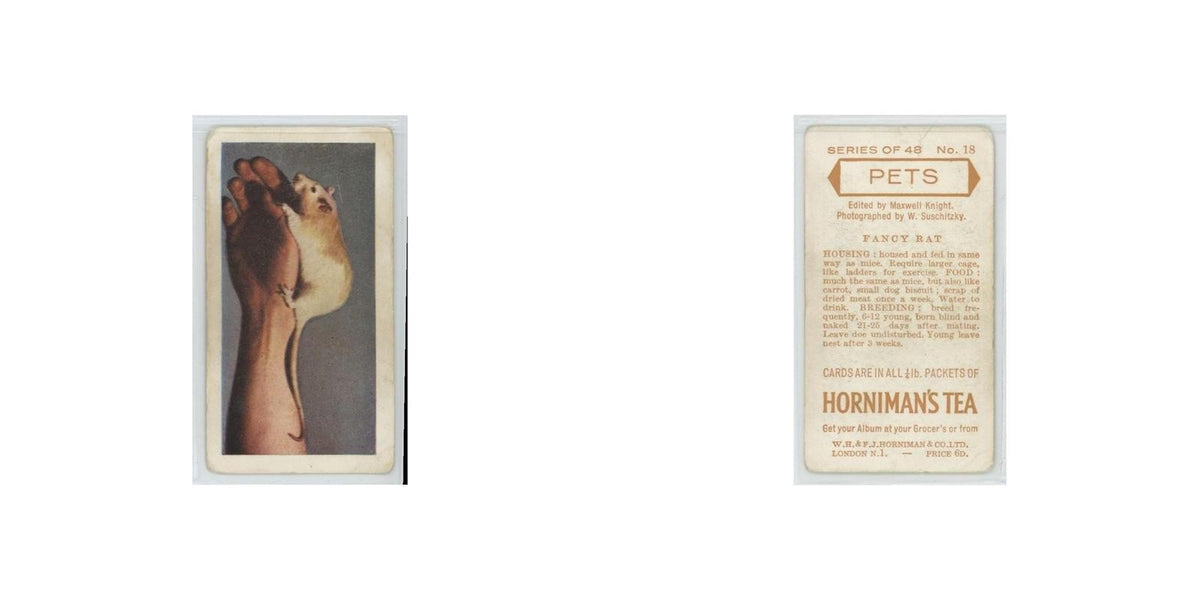 1960 Horniman's Tea Pets Fancy Rat #18