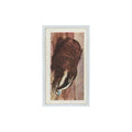 1960 Horniman's Tea Pets Badger Cub #8